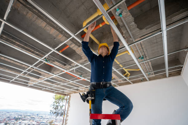 Best Emergency Plumber  in Tigerville, SC